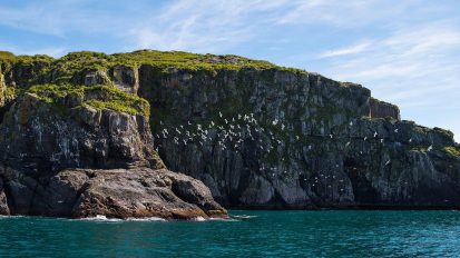 Landscapes & Exterior Architecture